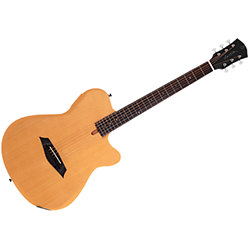 Ibanez AEG24ⅡTGB Ibanez AEG24II-TGB - Folk Electro Acoustic Guitar SonoVente.com - en