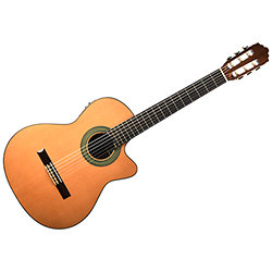 Ibanez AEW22CD-NT - Natural High Gloss - Guitarra Folk Eléctro