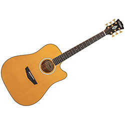 Fender Paramount PM-1 Deluxe Dreadnought Vintage Sunburst - Folk
