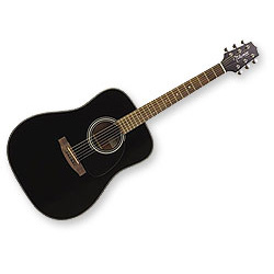 takamine g series g321