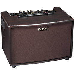 AC60RW Roland