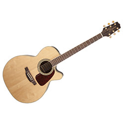 takamine gn71ce nex