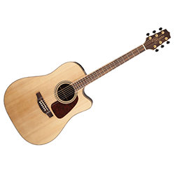 GD93CE-NAT Takamine