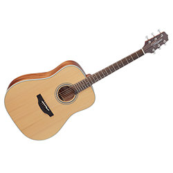 takamine gd 20 ns