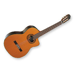 T50 Takamine