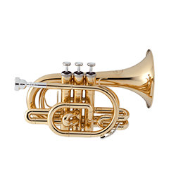 Jtr 710 Trompette De Poche Vernie Trompette Cornet Bugle Jupiter Sonovente Com