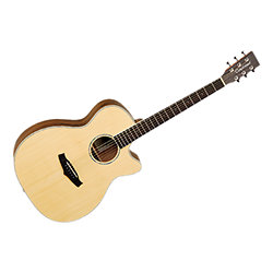Premier Exotic TPE SFCE DS Tanglewood