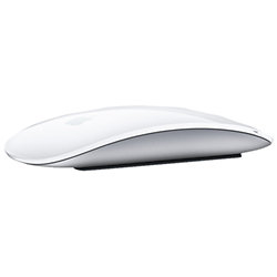 Magic Mouse 2