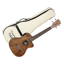 TWT15E Ukulélé Ténor Électroacoustique + housse Tanglewood