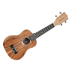 Tiare TWT7 CN Tanglewood