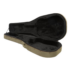 FS40DA Foamed Case Folk Ibanez