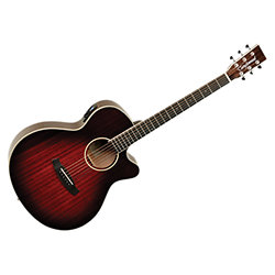 Winterleaf TW4 AVB CN Tanglewood