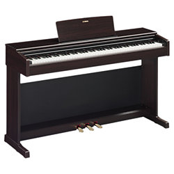 YDP 145 R Arius Yamaha