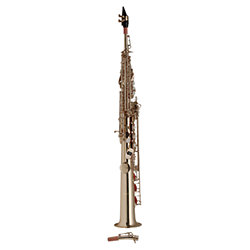 WS-SS225S - Saxophone en Sib à bocaux droit et courbe Stagg