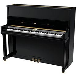 P 124 Black Pleyel