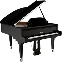 P 170 Trocadero Black Pleyel