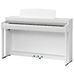 CN301 White Kawai