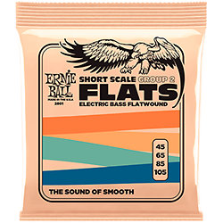 2801 Flatwound Short Scale Group 2 45-105 Ernie Ball