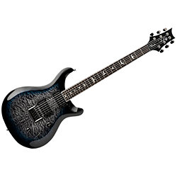 SE Mark Holcomb Blue Burst PRS