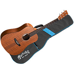 D-X1E Koa/Koa HPL + Housse Martin Guitars