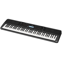 Casio WK 210 Clavier Toucher Dynamique SonoVente