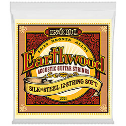 2051 Earthwood 80/20 Bronze SilknSteel - 12 cordes 9-46 Ernie Ball