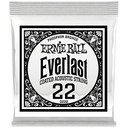 10222 Everlast Coated Phophore Bronze 22 Ernie Ball
