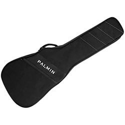 Lite Case Dreadnought Acoustic Guitar case Black Palmin