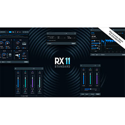 RX 11 Standard Upg RX Std/Adv/PPS (licence) Izotope