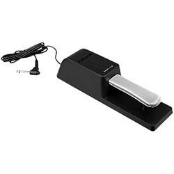 Sustain NSP-10 NUX Keys