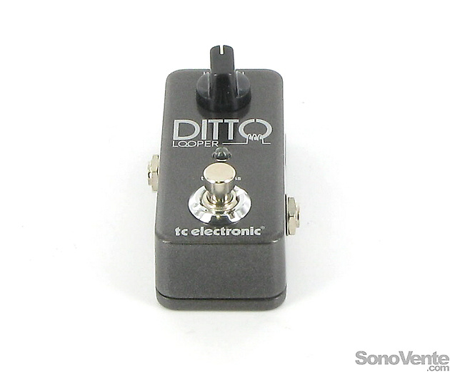 DITTO LOOPER BUNDLE TC Electronic