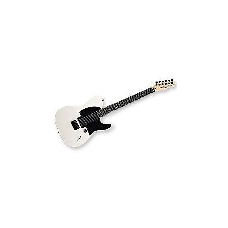 Fender Jim Root Telecaster Flat White