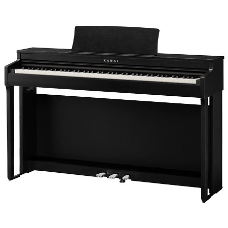 CN201 Black Kawai