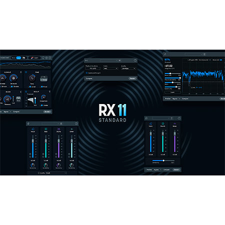 RX 11 Standard (licence) Izotope