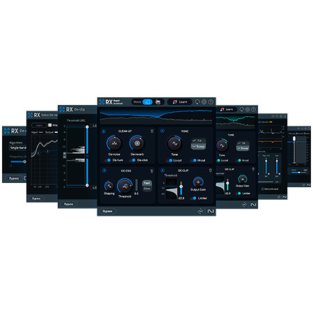 RX 11 Elements (licence) Izotope