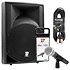 BoomTone DJMS12A MP3 + MIC100