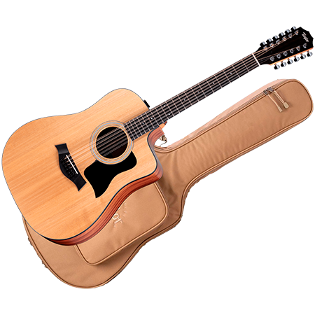 Taylor - 150ce + Housse