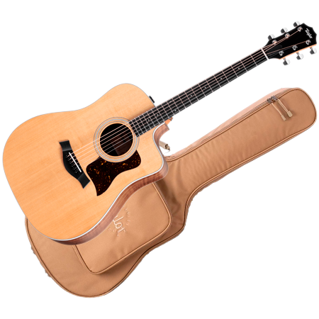 Taylor - 210ce + Housse