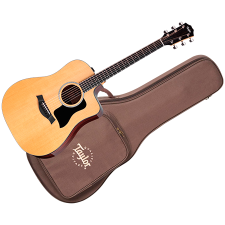 Taylor 210ce Plus + Housse