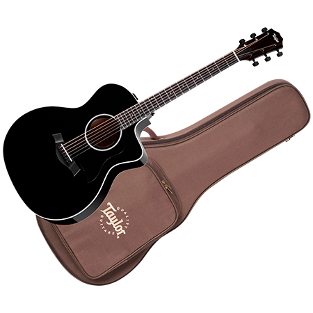 Taylor - 214ce-BLK Plus + Housse