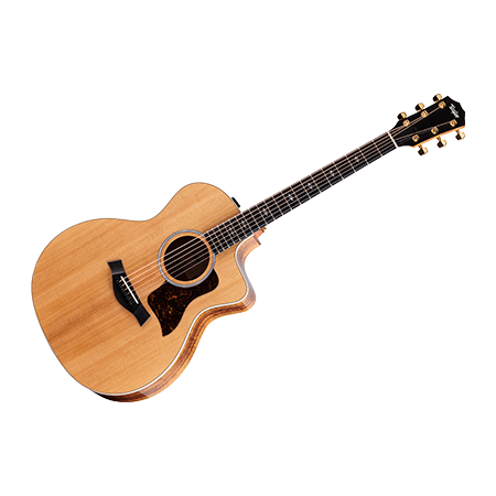 Taylor 214ce-K DLX + Etui