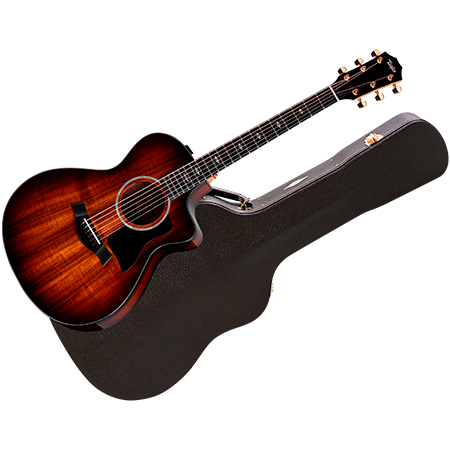 Taylor 222ce-K DLX + Etui