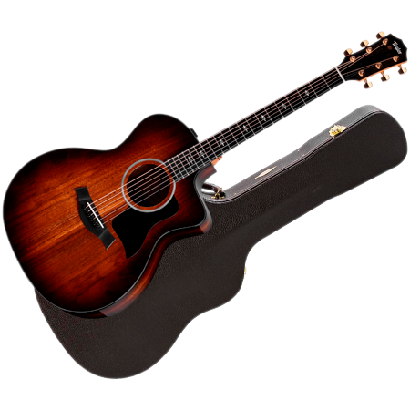 Taylor 224ce-K DLX + Etui