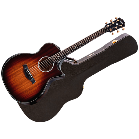 Taylor - Builder's Edition 324ce + Etui