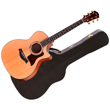 Taylor Legacy 514ce Limited Edition + Etui
