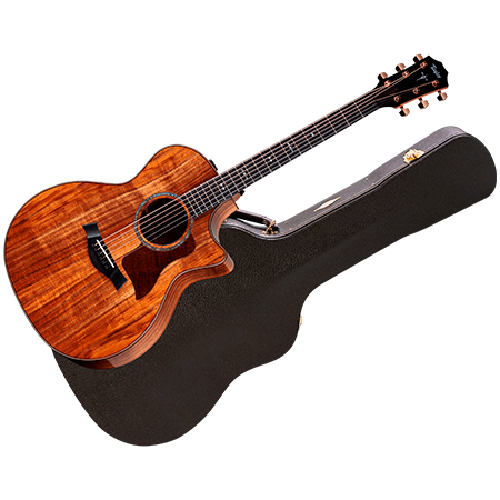 Taylor 724ce + Etui
