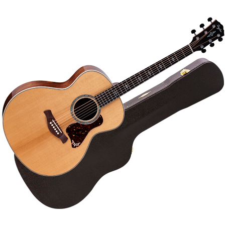 Taylor - Gold Label 814e + Etui