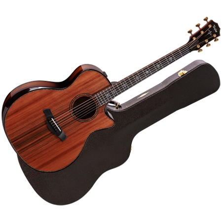 Taylor - Builder's Edition 914ce + Etui