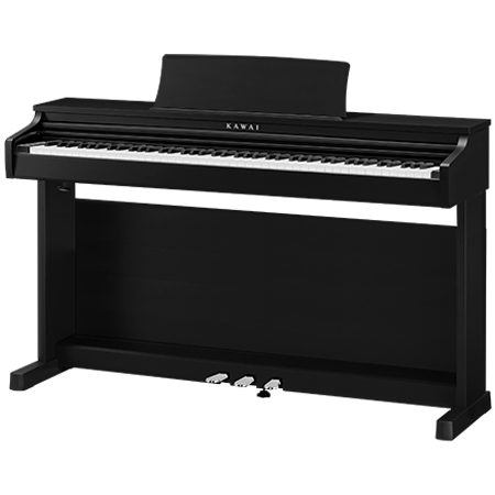 CX 202 Black Kawai