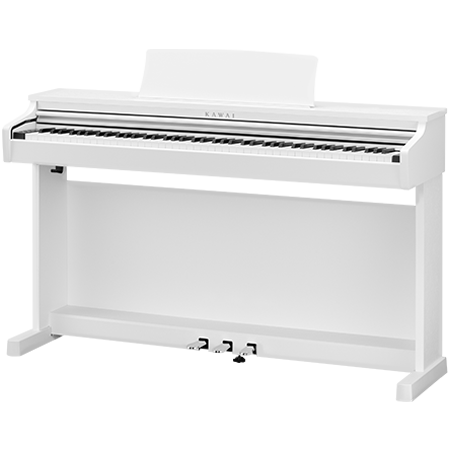 CX 202 White